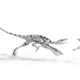 Illustration for article titled Velociraptors Cousin Had a Venomous Bite